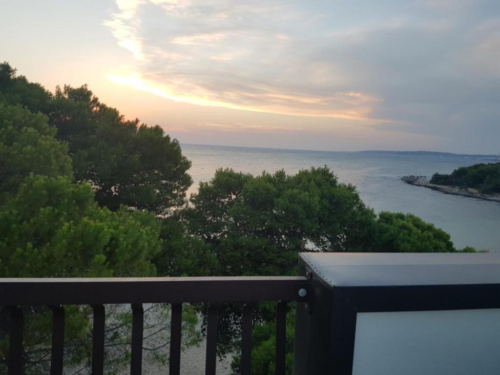 Con Terrazzo Sul Mare E Discesa In A Apartment